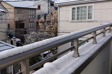 2020年2月名古屋の積雪