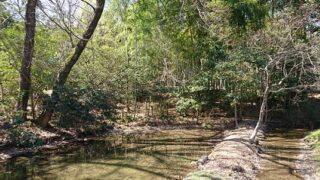 明徳公園内の小さな池