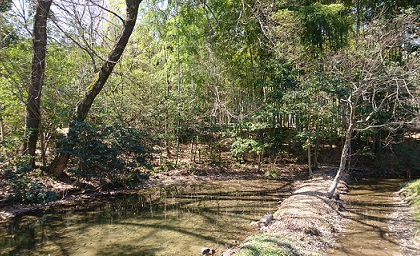 明徳公園内の小さな池