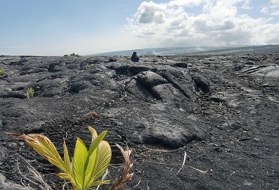 ハワイ火山国立公園の溶岩大地