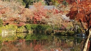 放生池から多宝塔を望む（京都永観堂）