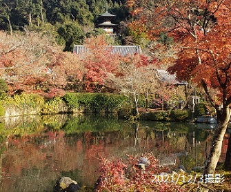 放生池から多宝塔を望む（京都永観堂）