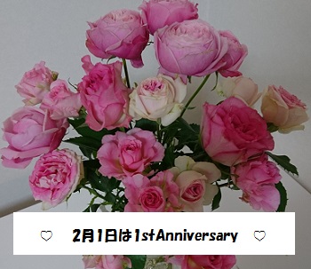 ブログ記念日1周年を記念したバラの花