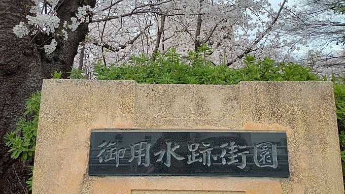 名古屋市北区にある御用水跡街園の桜並木