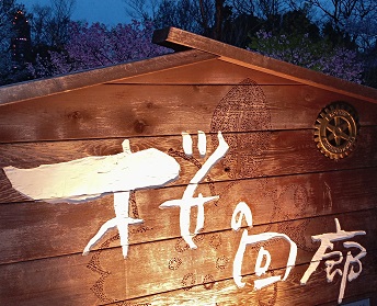 名古屋市東山植物園の桜の回廊のライトアップ
