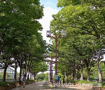 名古屋市西区の庄内緑地公園入り口付近