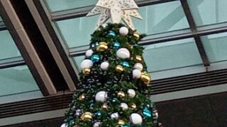 名古屋ゲートモールのクリスマスツリー設置中