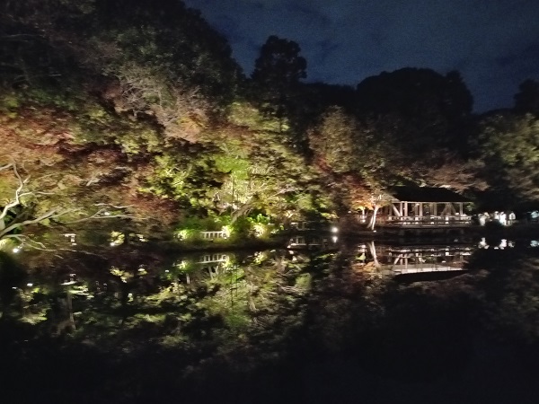 名古屋市東山動植物園の紅葉ライトアップ（2023年11月19日）