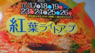 名古屋市東山動植物園の紅葉ライトアップ（2023年11月19日）