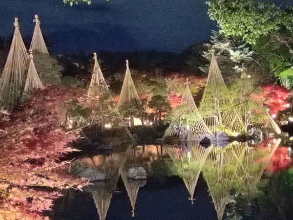 白鳥庭園（名古屋市熱田区））のライトアップ