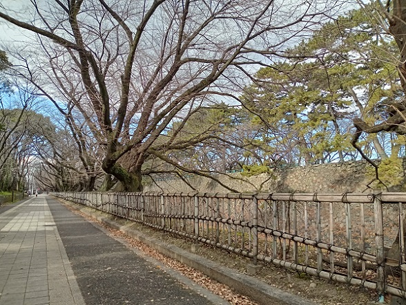 名古屋城南側のお堀沿いの歩道