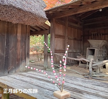 東山植物園合掌造りの家で花餅作り（名古屋市）