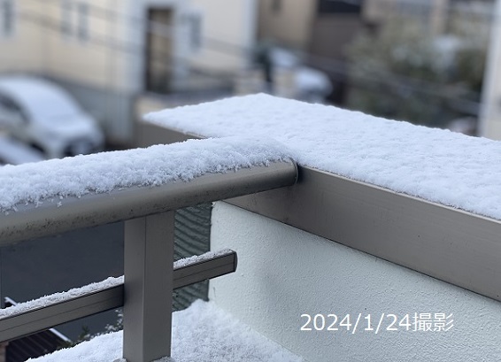 名古屋市名東区の積雪の様子（2024年1月24日朝9時）
