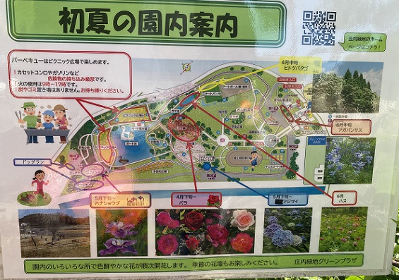 庄内緑地公園（名古屋市西区）