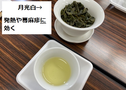 名古屋市中村学習センターで開催の中国・台湾茶を味わう学習会