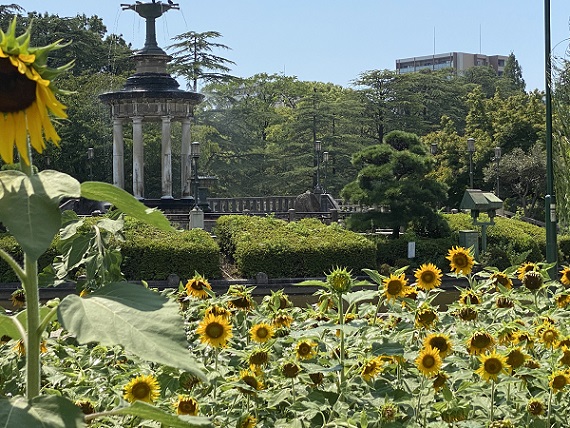 鶴舞公園（2024/8/14撮影）