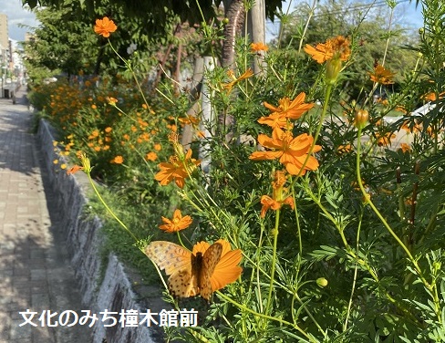 橦木館前の公園（名古屋市東区）