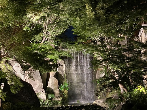 徳川園の夜間開園（2024年9月18日）