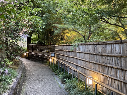 徳川園の夜間開園（2024年9月18日）