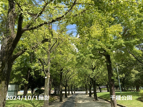 千種公園（名古屋市千種区）