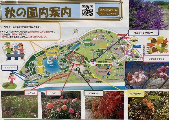 庄内緑地公園（名古屋市西区）