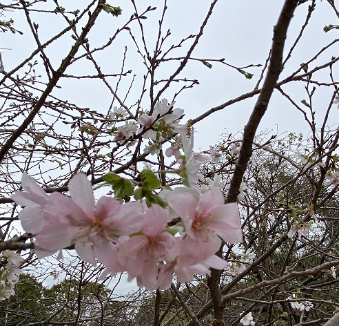 庄内緑地公園（名古屋市西区）