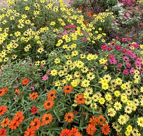 庄内緑地公園（名古屋市西区）