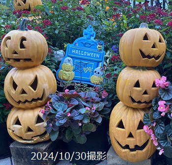 久屋大通庭園フラリエ（ハロウイン）2024年10月30日撮影