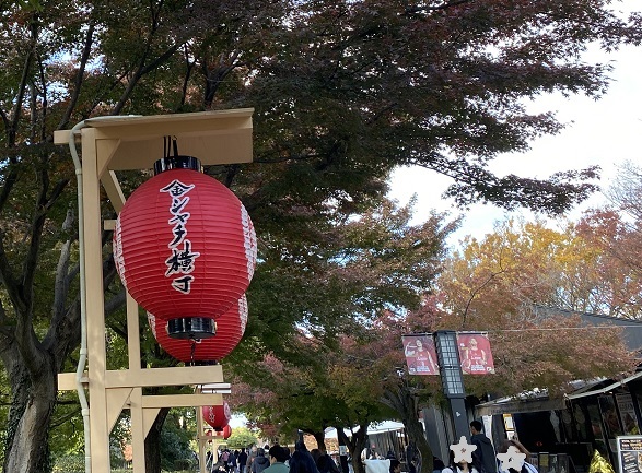 金シャチ横丁（2024年11月30日撮影）