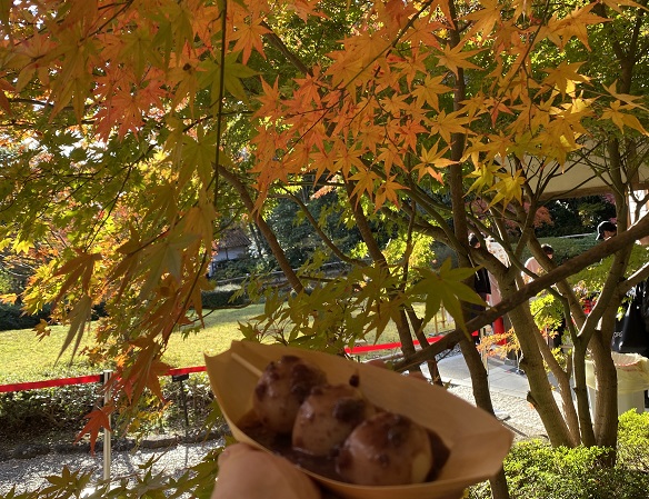 東山植物園の紅葉狩り（2024年12月1日）