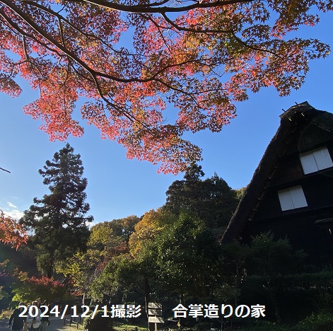 東山植物園のイベント（花餅作り）2024年12月1日