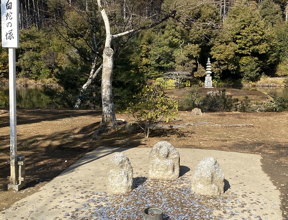 金閣寺（2025年2月25日撮影）