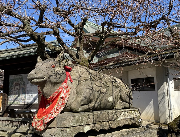 北野天満宮（2025年2月25日撮影）