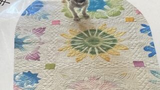 QUILT-AKI作品展（戸田川緑地のフラワーセンターにて2025年5月13日から18日まで開催）