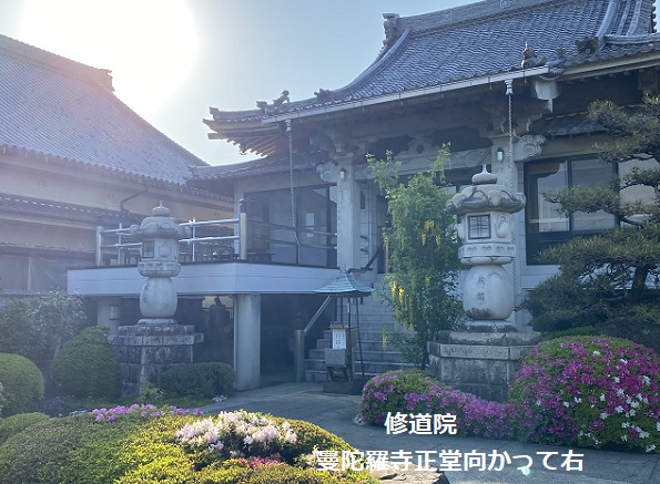 曼陀羅寺公園藤まつり(2025年4月30日撮影)