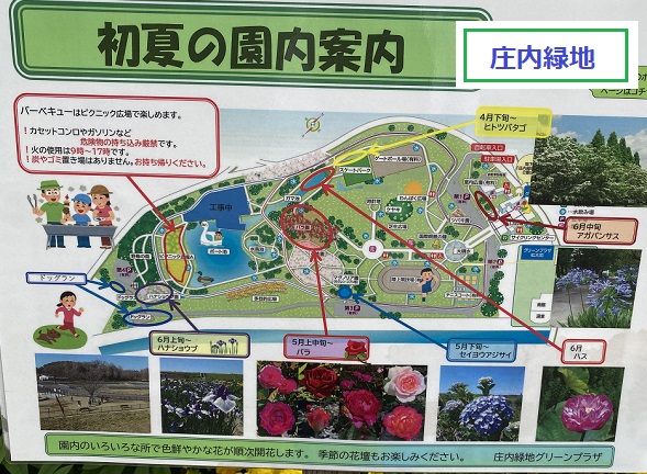 庄内緑地公園の案内図