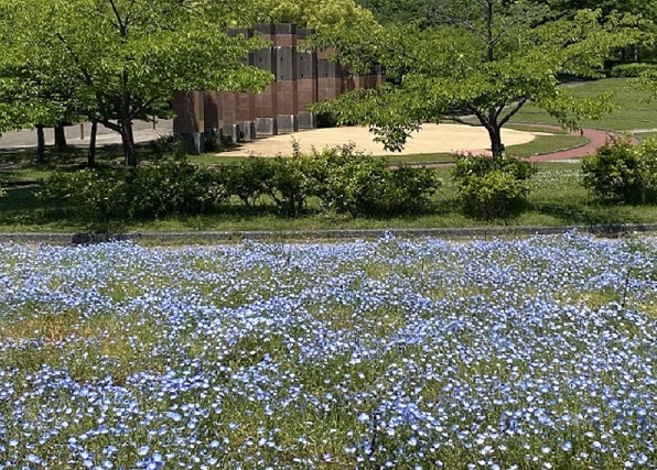 戸田川緑地(名古屋市港区)2025年5月13日撮影