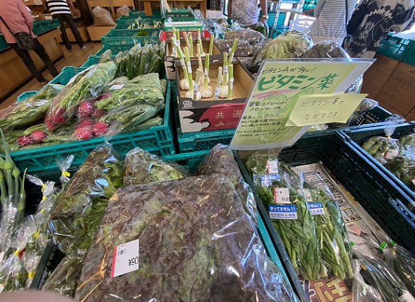 戸田川緑地(名古屋市港区)2025年5月13日撮影