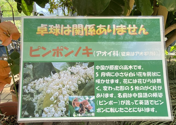 戸田川緑地(名古屋市港区)2025年5月13日撮影