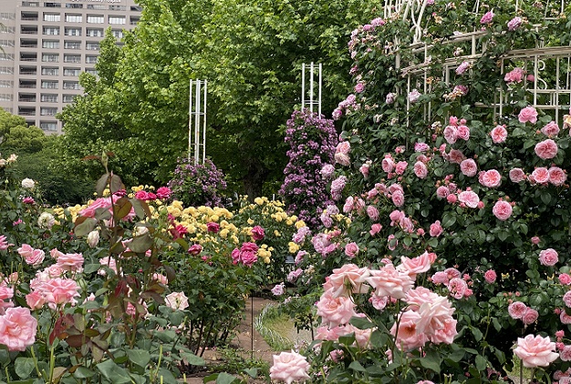鶴舞公園(名古屋市昭和区)2025年5月20日撮影