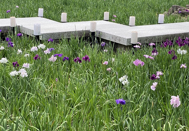 鶴舞公園(名古屋市昭和区)2025年5月20日撮影