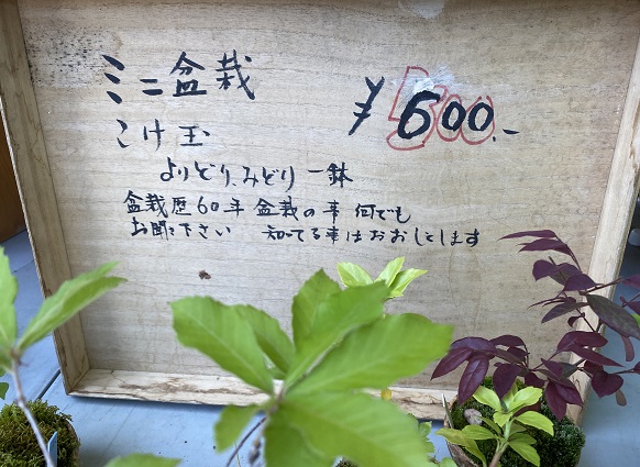 徳川園(名古屋市東区)の黒門市