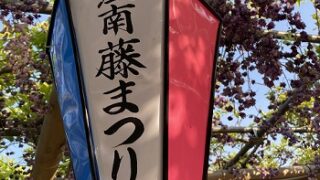 曼陀羅寺公園藤まつり（2025年4月30日撮影)