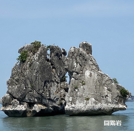 ハロン湾クルーズ