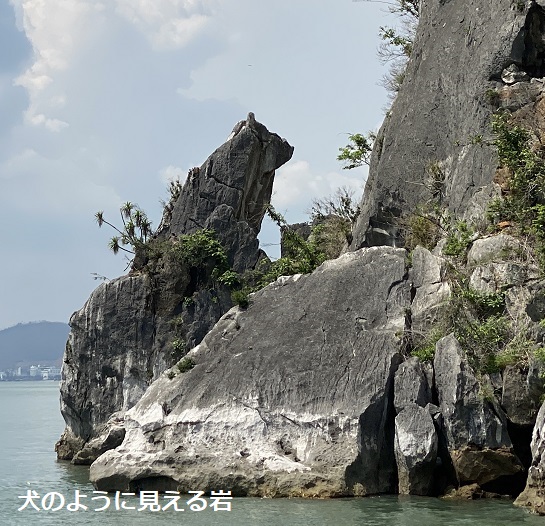 ハロン湾クルーズ