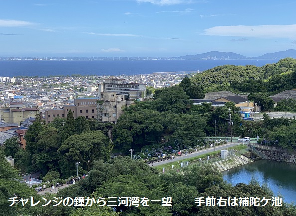 形原温泉あじさいの里(2025年6月25日撮影)