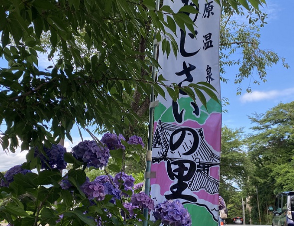 形原温泉あじさいの里(2025年6月25日撮影)