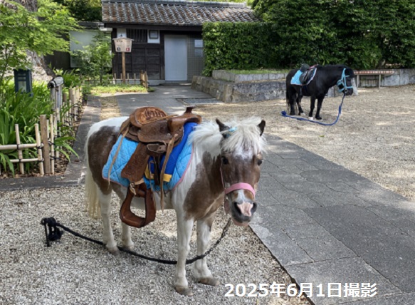 徳川園（名古屋市東区）