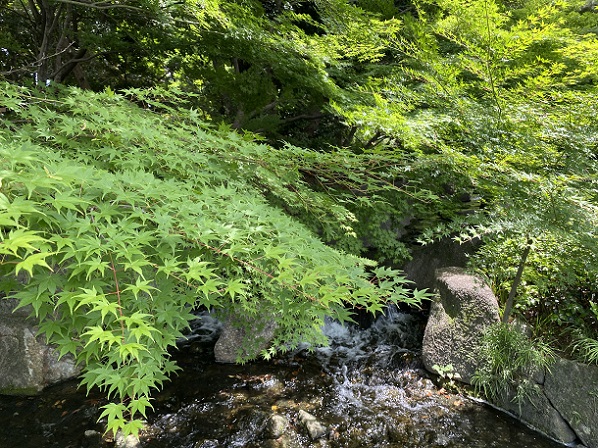 徳川園（名古屋市東区）