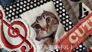 自作のパッチワークキルト（ネコ）